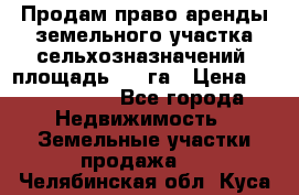 Продам право аренды земельного участка сельхозназначений  площадь 14.3га › Цена ­ 1 500 000 - Все города Недвижимость » Земельные участки продажа   . Челябинская обл.,Куса г.